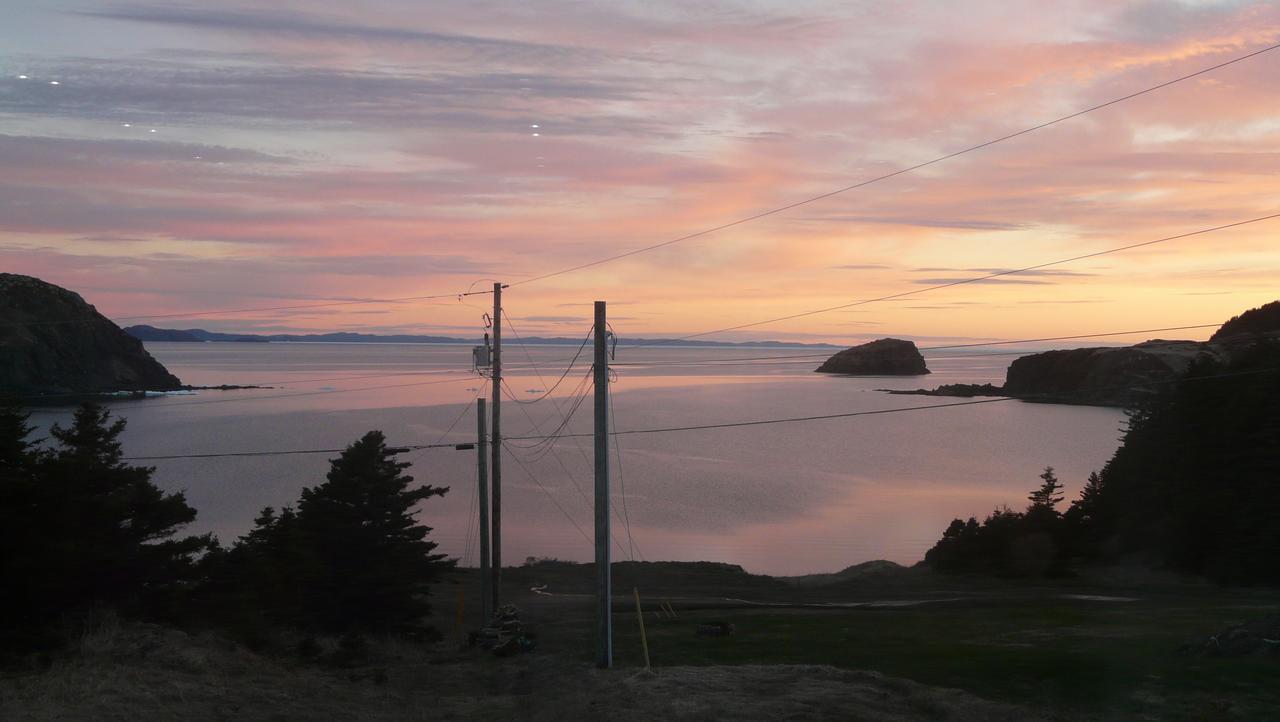 Tranquility Hill B & B Twillingate Exterior photo