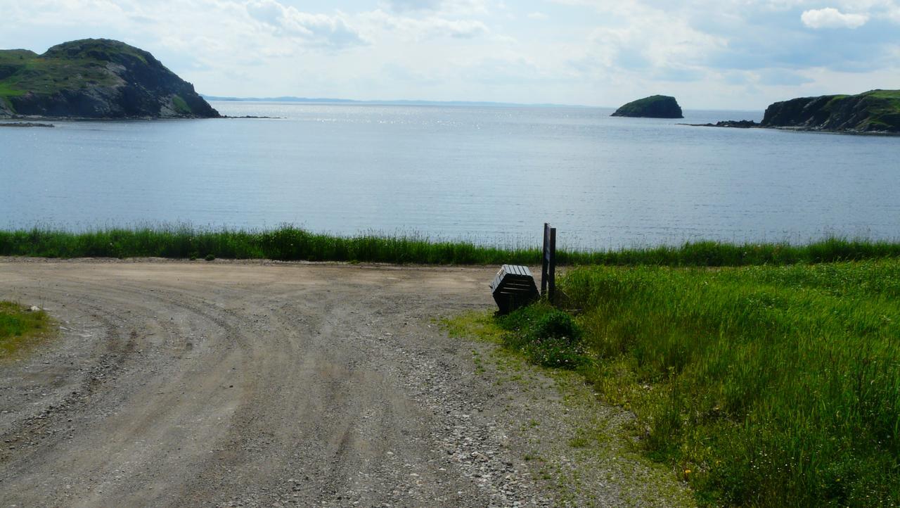 Tranquility Hill B & B Twillingate Exterior photo